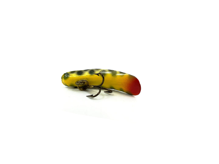 Helin Flatfish F4, CD Coachdog Color