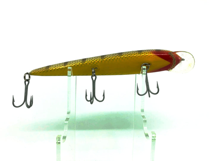 Nils Master, Black Ribs/Gold Scales Color