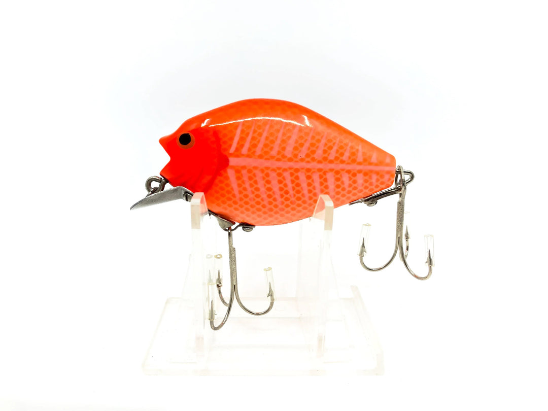 Chippewa Punkinseed, Goldfish Color