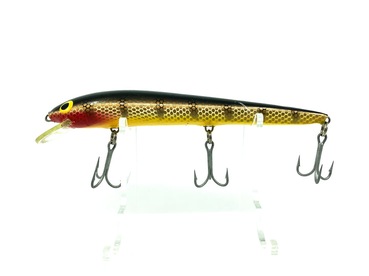 Nils Master, Black Ribs/Gold Scales Color