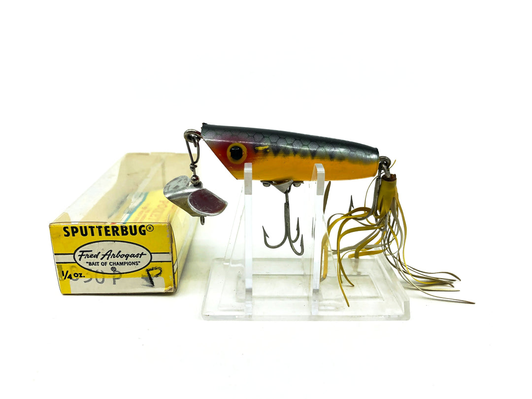 Arbogast Sputterbug, P Perch Color with Box