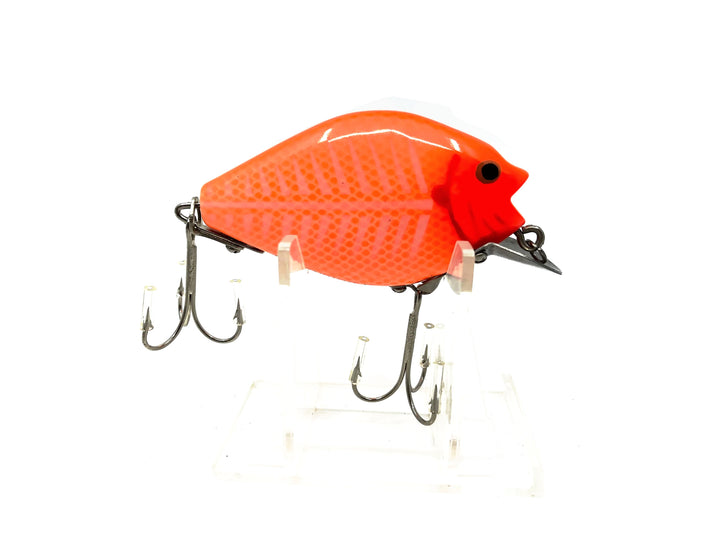 Chippewa Punkinseed, Goldfish Color