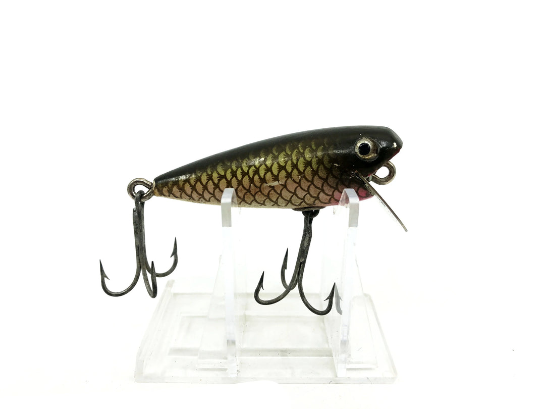 Shakespeare River Pup, GRW Green Back, Red Sides Color