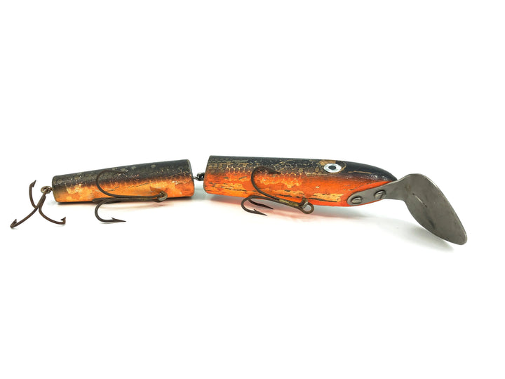 Rizzo Diver, Orange/ Brown Scale & Back Color