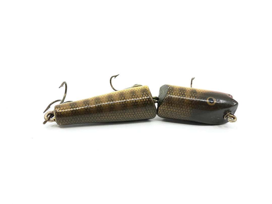 Creek Chub #4900 Jointed Darter, Pikie Scale Color