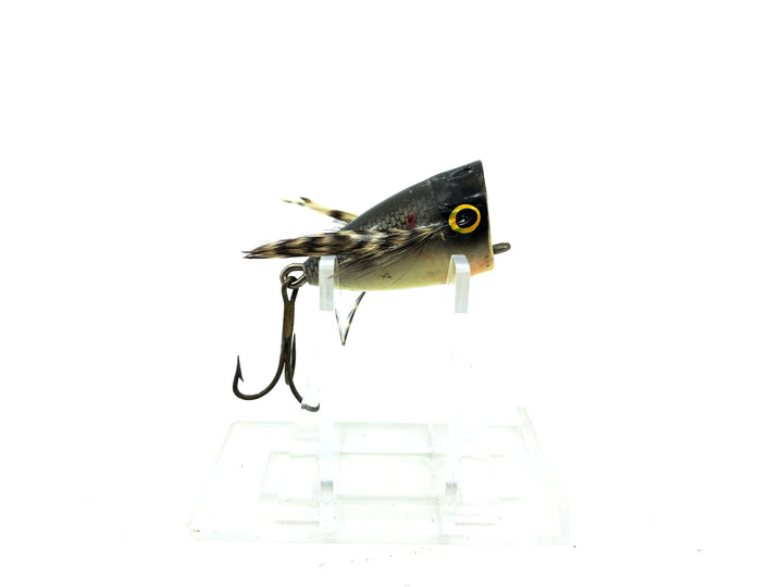 Phillips Spin Popper, Shad Color