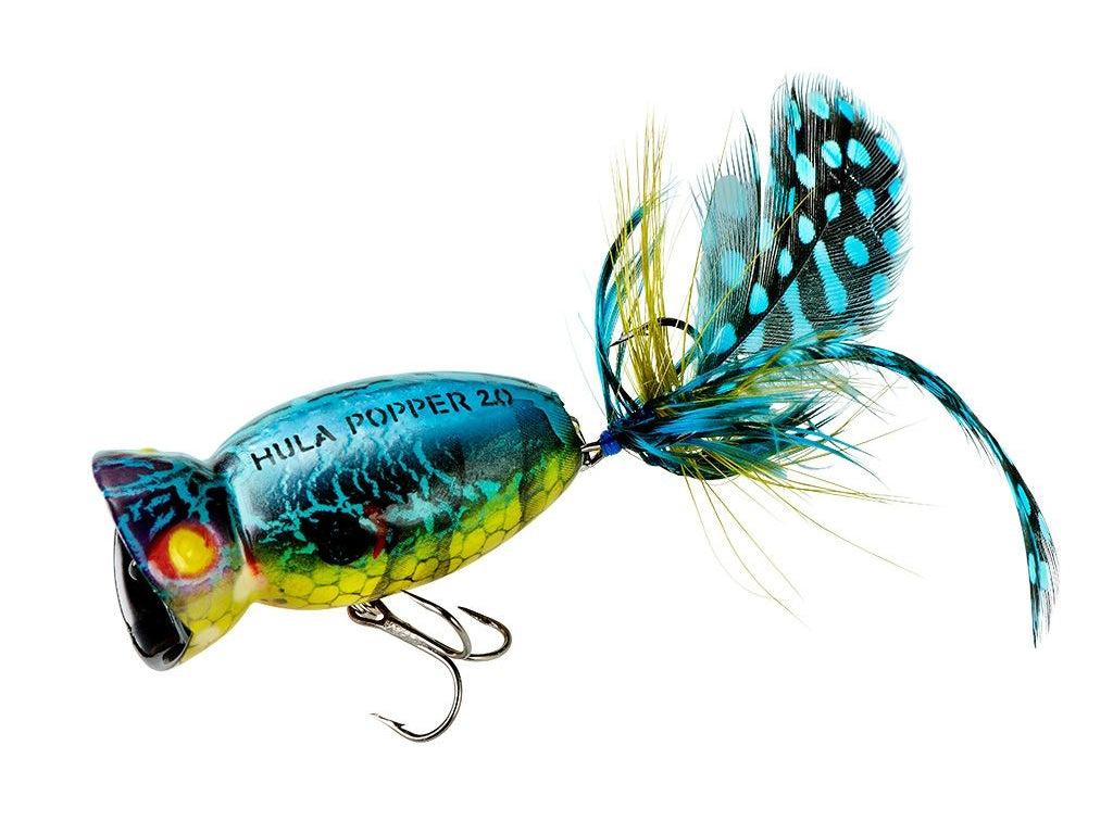 Arbogast Hula Popper 2.0 Blue Kill Color