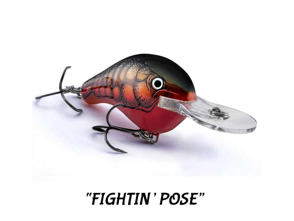 Bagley Balsa Diving B DB1, DB2 (2 Sizes, 14+ Colors to Choose from)