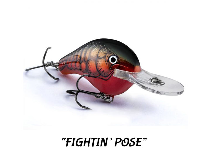 Bagley Balsa Diving B DB1, DB2 (2 Sizes, 14+ Colors to Choose from)
