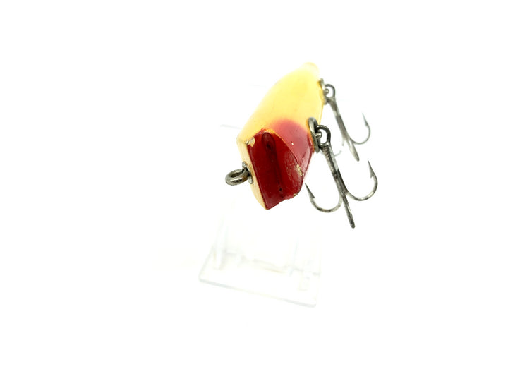 Creek Chub 2000 Darter 2014 Yellow Spotted Color