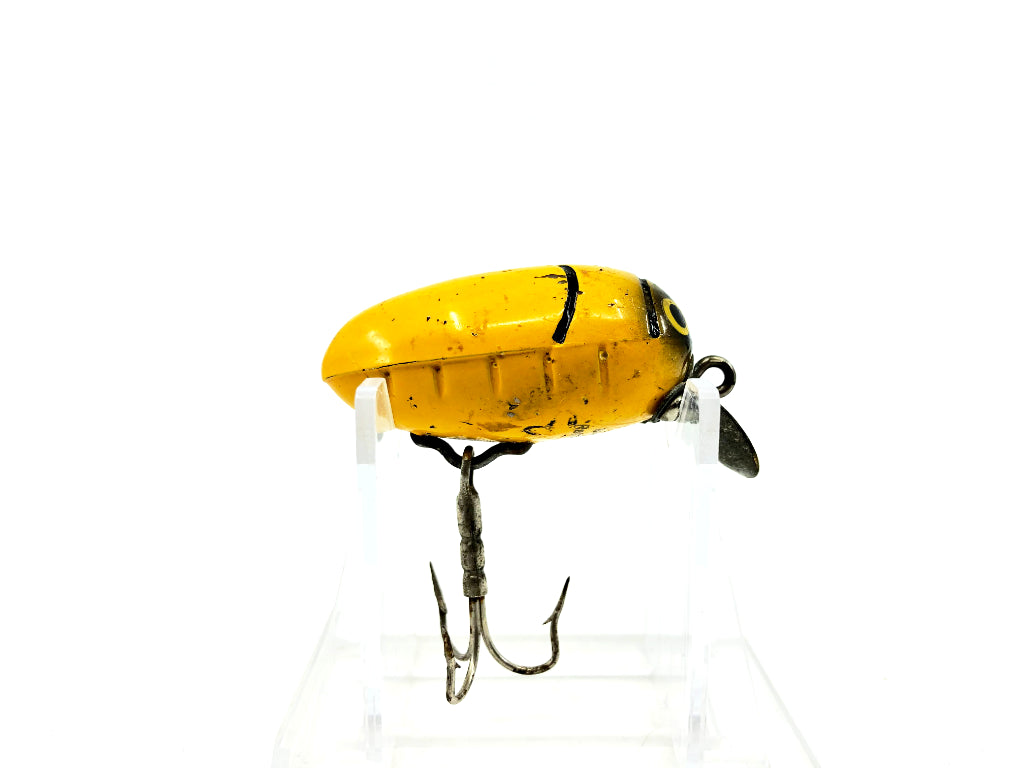 Millsite Rattle Bug Yellow Bug Color
