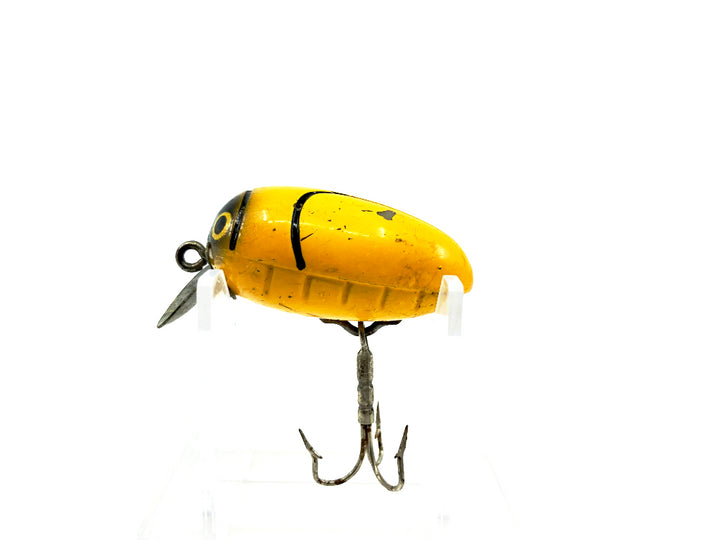 Millsite Rattle Bug Yellow Bug Color