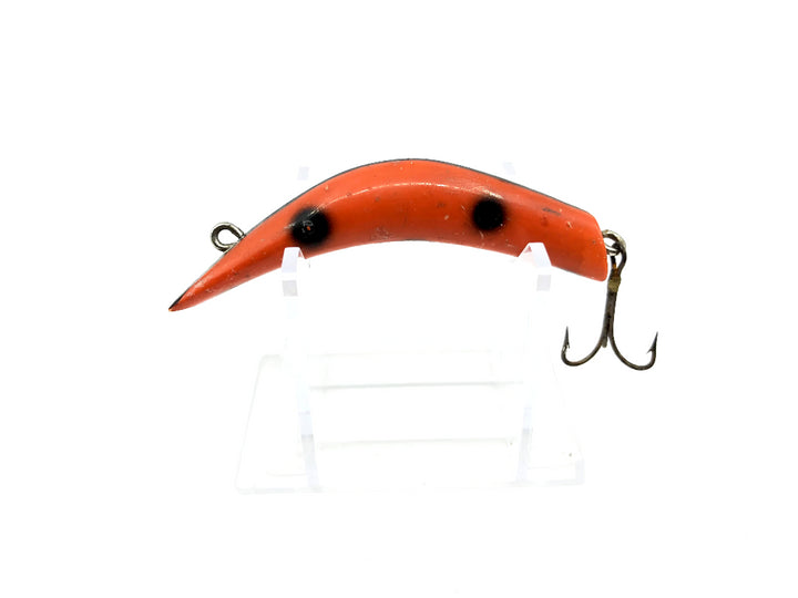 Lazy Dazy Orange with Black Spots