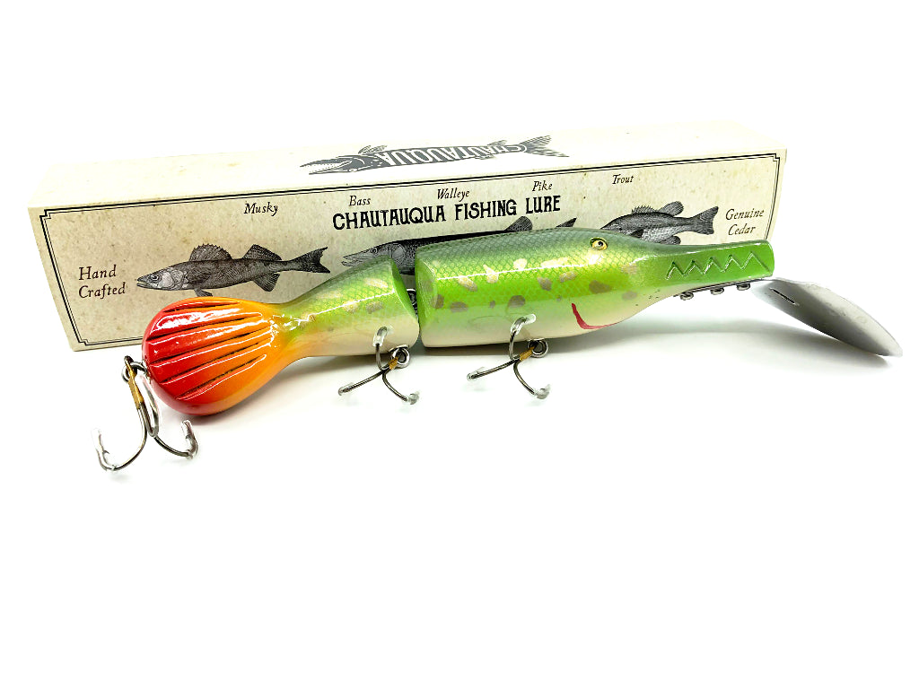 Chautauqua Magnum Jointed Gar in Spotted Gar Color
