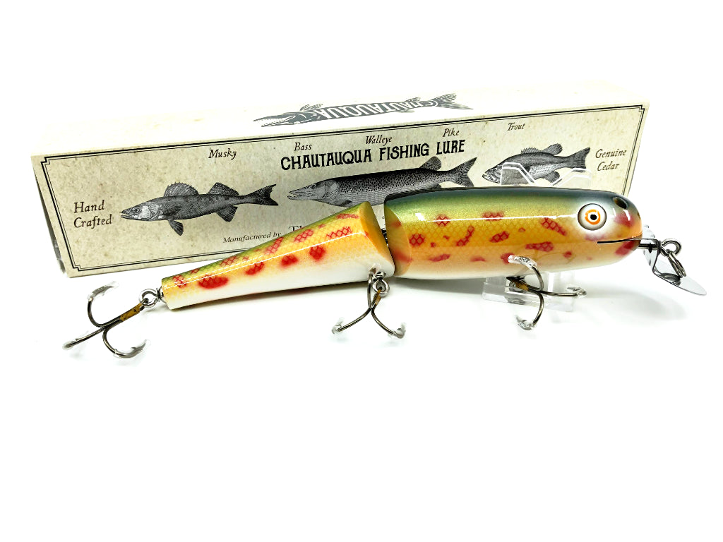 Jointed Chautauqua 8" Minnow Musky Lure Rainbow Chub 2020 Color