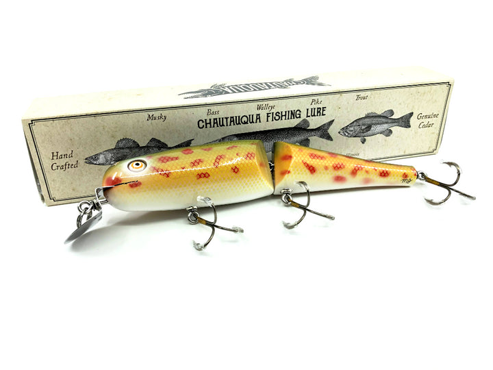 Jointed Chautauqua 8" Minnow Musky Lure Rainbow Chub 2020 Color