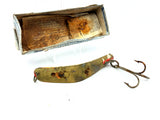 Helin Swimmerspoon Warrior and Box