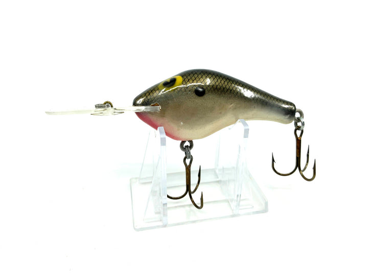 Poe's 3 Diving Crankbait Shad Color
