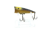 PICO Lil Pop in Frog and Yellow Scale Color