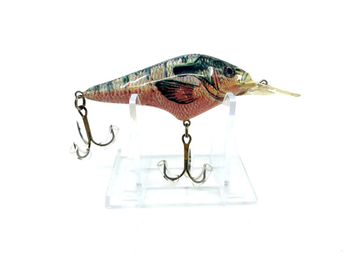 Berkley Frenzy Bluegill Color Smaller Size