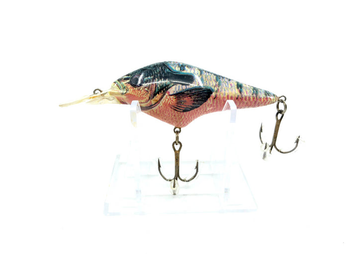 Berkley Frenzy Bluegill Color Smaller Size