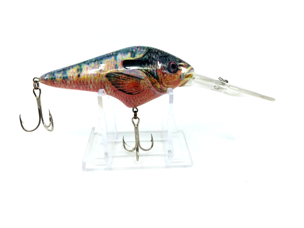 Berkley Frenzy Bluegill Color Larger Size