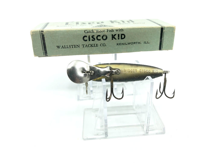 Wallsten Tackle Midget Cisco Kid Black Chub Color with Box