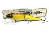 Jointed Chautauqua 8" Minnow Musky Lure Custom Golden Shiner 2020 Color