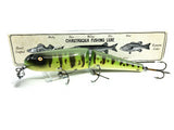 Jointed Chautauqua 8" Minnow Musky Lure Yellow Perch Color