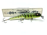 Jointed Chautauqua 8" Minnow Musky Lure Yellow Perch Color