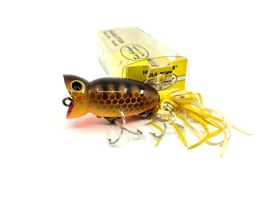 Arbogast Hula Popper Brown Parrott 760-135 Color with Box