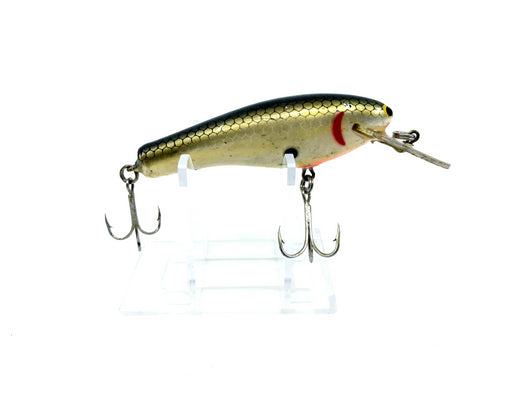 Bagley DB03-TS Tennessee Shad Color S Lip – My Bait Shop, LLC