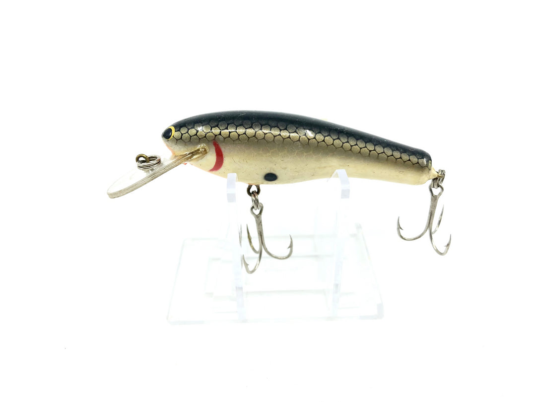 Bagley DB03-TS Tennessee Shad Color S Lip