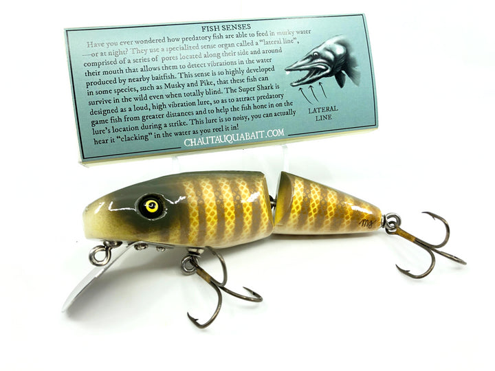 Vintage Early Chautauqua Super Shark Pike Custom Color with Box