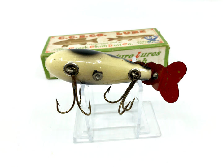 Creek Chub 300 Crawdad in Rare NRA Stamped Box Natural Crab Color