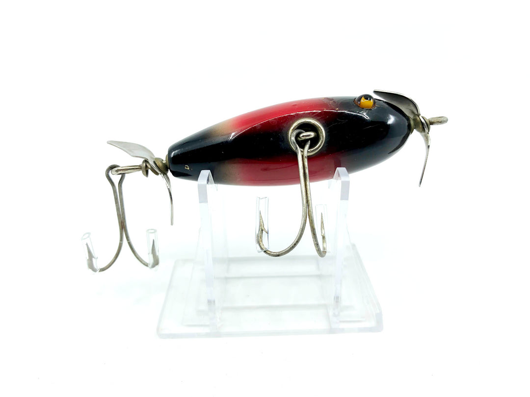 Creek Chub 1600 Baby Injured Minnow Redwing Blackbird 1624 Color