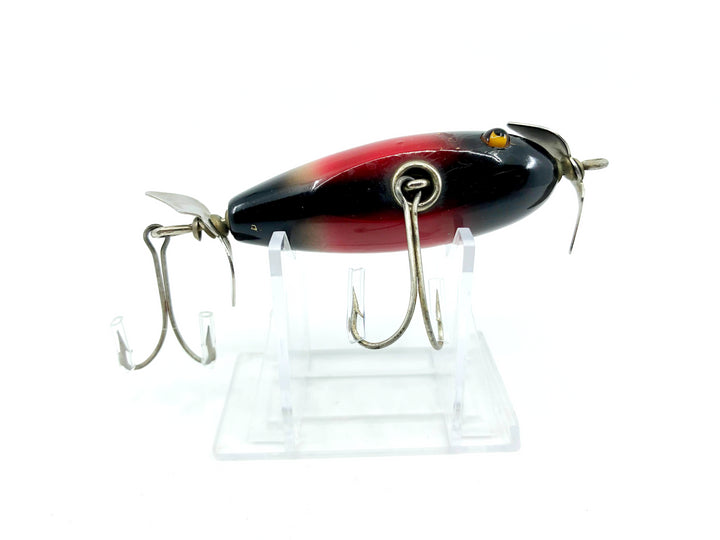 Creek Chub 1600 Baby Injured Minnow Redwing Blackbird 1624 Color