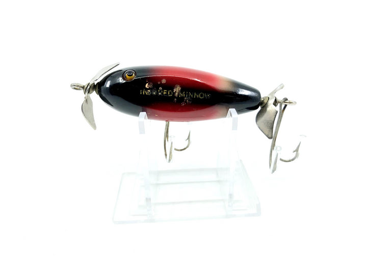 Creek Chub 1600 Baby Injured Minnow Redwing Blackbird 1624 Color