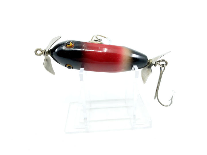 Creek Chub 1600 Baby Injured Minnow Redwing Blackbird 1624 Color