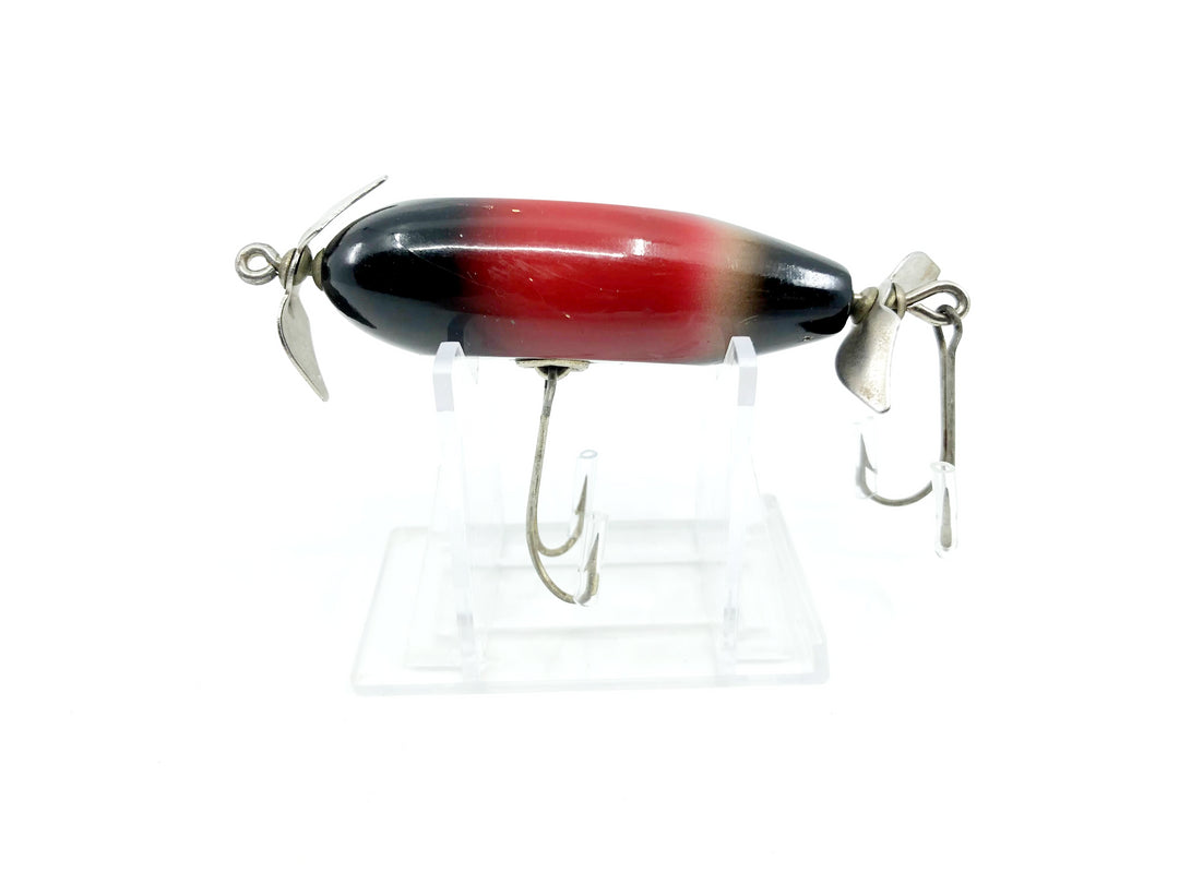 Creek Chub 1600 Baby Injured Minnow Redwing Blackbird 1624 Color