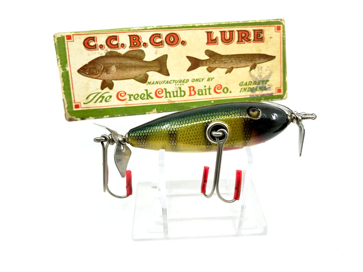 Creek Chub 1600 Baby Flatside (Injured Minnow) in Rare NRA Stamped Box Perch 1601 Color