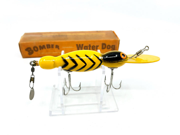 Vintage Wooden Bomber Water Dog 1620 Yellow Black Ribs Color with Box