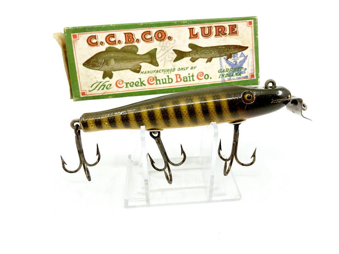 Creek Chub 700 Pikie Minnow in Rare NRA Stamped Box Pikie Color with Catalog & Order Form