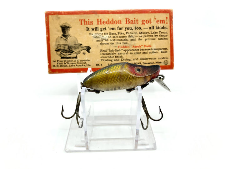 Heddon River Runt 9019L Perch Scale Color with Brush Box / Paper