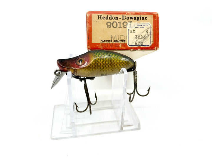 Heddon River Runt 9019L Perch Scale Color with Brush Box / Paper