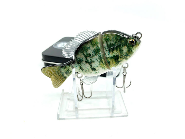 Mother Nature Lure Swimbait Baby Sunfish Series Sacramento Perch Female Color