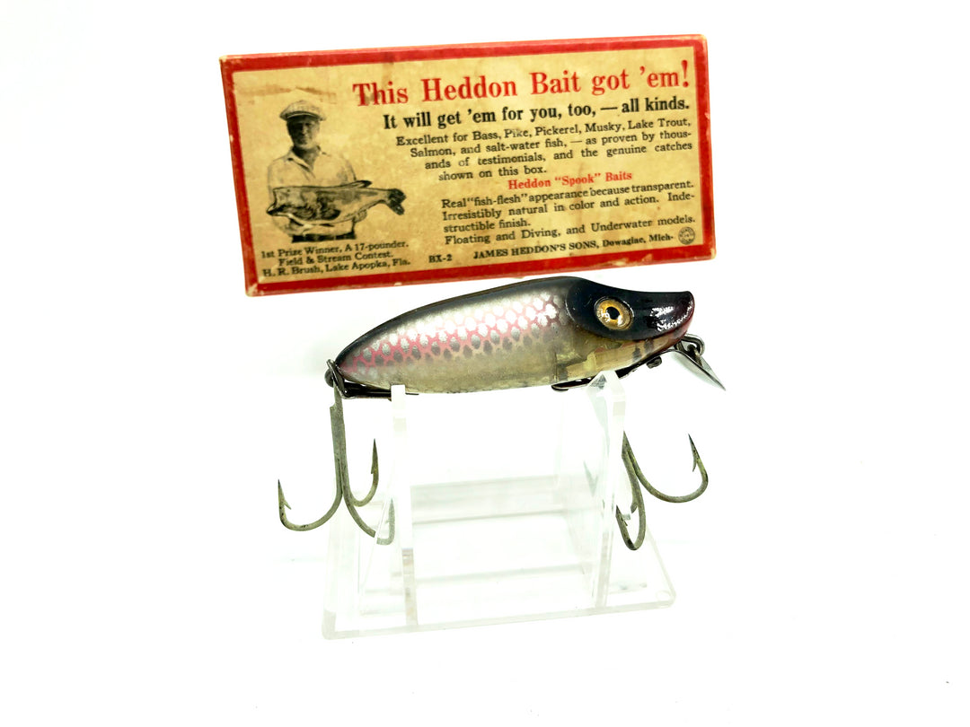 Heddon River Runt 9119P Shiner Scale Color with Brush Box / Paper