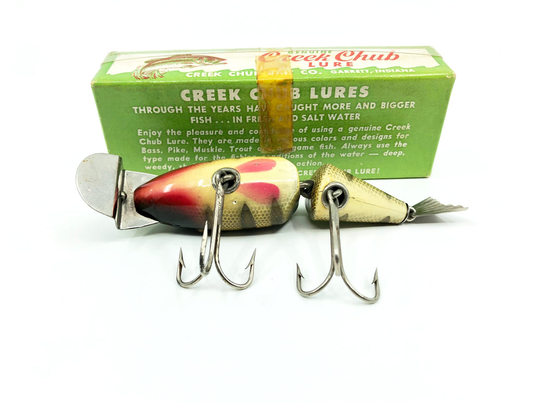 Vintage Creek Chub Wiggle Fish Double Line Tie Perch Color with Box
