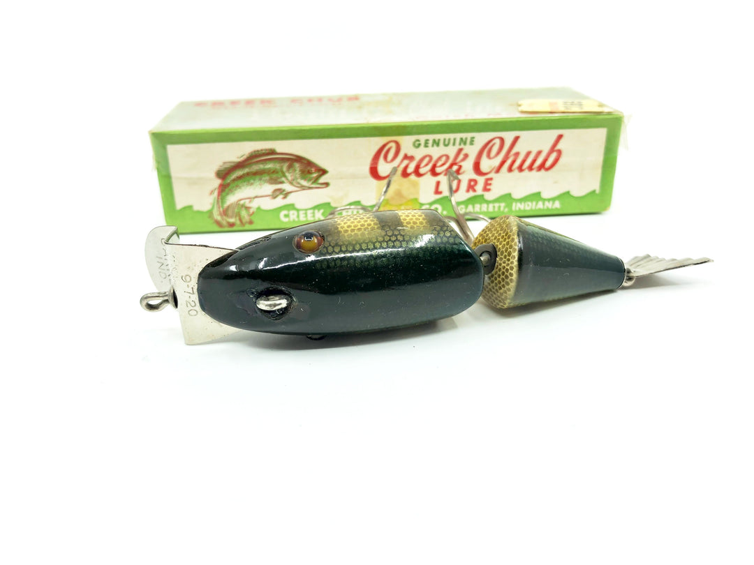 Vintage Creek Chub Wiggle Fish Double Line Tie Perch Color with Box