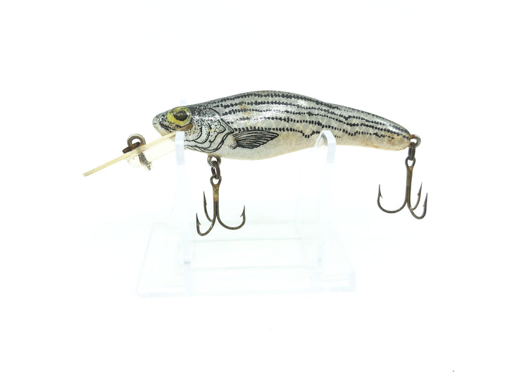 Crankbait Corp Fingerling Striper Color 2
